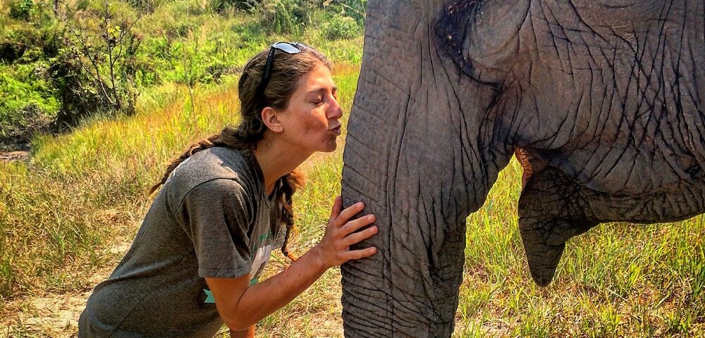 Travel Diary Days 36 - 40: Elephant Nature Park in Cambodia (Video)