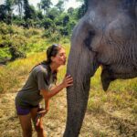 Travel Diary Days 36 - 40: Elephant Nature Park in Cambodia (Video)