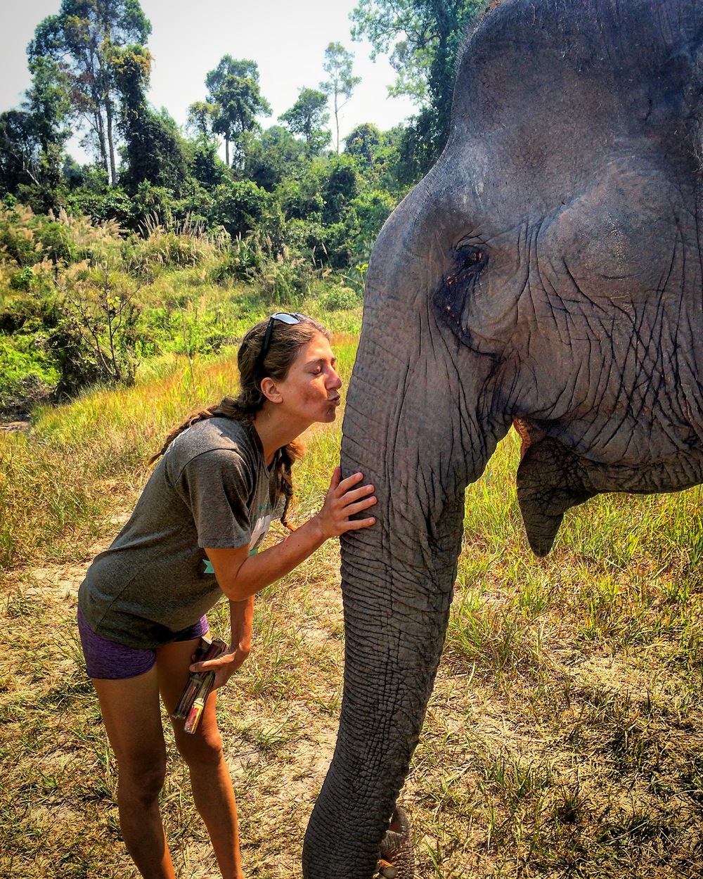 Travel Diary Days 36 - 40: Elephant Nature Park in Cambodia (Video)