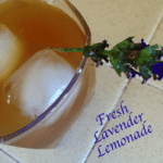 Fresh Lavender Lemonade Recipe